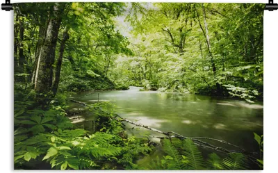 Produktbild von MuchoWow® Wandteppich Wandbehang Wald - Baum - Wasser 90x60 cm Tapisserie Dekoration Wandtuch - Wandskulpturen - Bildteppich