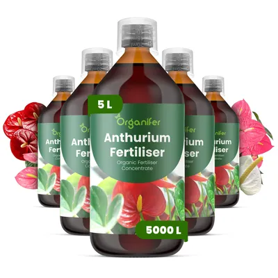 Obrázok produktu pre Anthurium, tekuté hnojivo, 5 x 1 liter – vzťah NPK 3-4-3 – pre kvitnúce rastliny – pre bohaté kvitnutie a silné korene – podporuje rast stoniek a vitalitu – organické