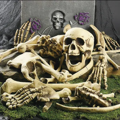 Obrázok produktu pre Kostra kosti Halloween rekvizity, kostra kosti Party dekorácie