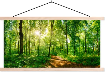 Produktbild von MuchoWow® Textilposter Wald - Sonne - Baum 120x60 cm mit holzfarbenen Rahmen - Klemmleiste