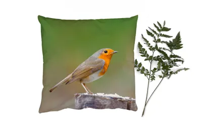 Produktbild von MuchoWow® Zierkissen Sofakissen Wohnzimmer Dekokissen 40x40 cm Tiere - Vogel - Rotkehlchen - Foto Kissen - Schlafzimmer Dekoration