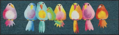 Produktbild von Fussmatte Salonloewe Rainbow Birds 30x100 cm