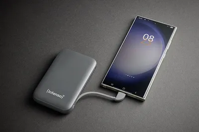 Immagine prodotto di Intenso 7333034 Intenso Power Bank S 10000 mAh Grau + Integriertes USB-C