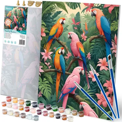 Image de Peinture par numéros 40x50 cm Massido Perroquets