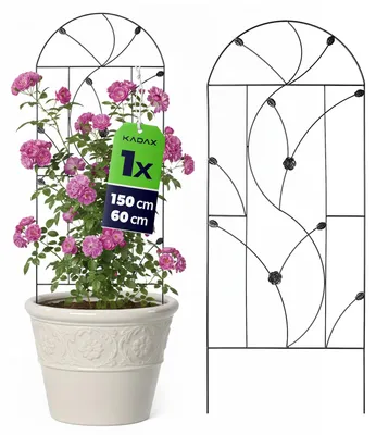 Zdjęcie produktu dla KADAX Metalowa kratka 60 x 150 cm, 1 sztuka, podpora dla roślin pnących, kratka do róż z malowanej proszkowo stali, podpora dla róż pnących i powojników