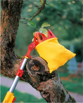 Immagine prodotto di Raccoglitore di frutta a più stelle WOLF-Garten RG-M