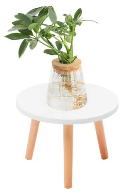 Immagine prodotto di Supporto rotondo in legno per piante, con 3 gambe - Bianco/Legno naturale