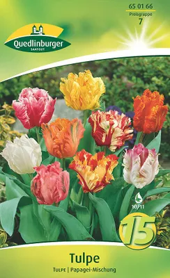 Artikelbild 2 von 'Tulpe Papagei Mischung (15 Stück)' aus der Kategorie Tulpenzwiebeln