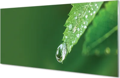 Produktbild von Glasbilder 120x60 Wandkunst Wassertropfenblatt