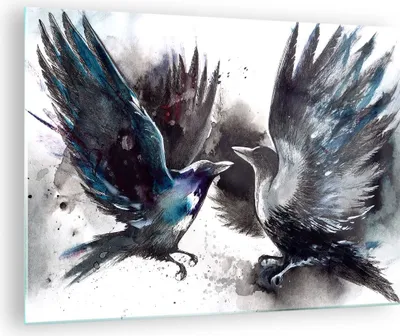Produktbild von Bilder auf glas - Vogel Natur Feder - 70x50cm - Glasbilder - Wandbilder - Kunstdruck - zum Aufhängen bereit - Wanddekoration aus Glas - Glas Bilder - Wandbild auf Glas - Einteilig - GAA70x50-3761