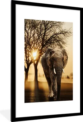 Produktbild von MuchoWow® MuchoWow® Gerahmtes Poster Elefant - Baum - Sonne 60x90 cm - Poster mit zchwarzem Bilderrahmen - Dekoration - Wandposter Wohnzimmer - Hochwertig