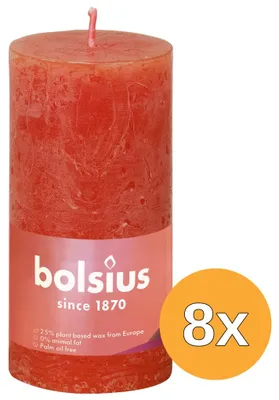 Productafbeelding van 8x Bolsius Rustiekkaars 100/50 Earthy Orange (1 stuk)