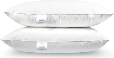 Produktbild von 2er Set Federkissen 80x80 cm 1000 Gramm – Kopfkissen mit 100% Gänsefedern – Baumwollbezug 185 g/m² – Ganzjahreskissen