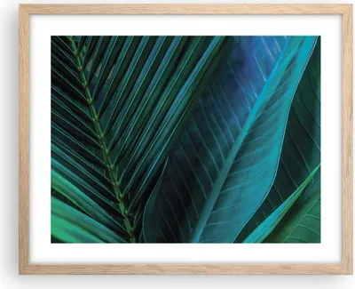 Produktbild von Gerahmtes Poster - Rahmen in heller Eiche - Blatt Tropen Grün - 50x40 cm - Wand Bild - Wanddeko - Wandbilder - Kunstposter - Wandposter - Bilderrahmen - Bilder - Kunstdruck - P2NAA50x40-5071
