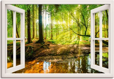 Produktbild von Günter Albers: Fensterblick - Wald mit Bach, Produkt:Leinwand, Größe (HxB):50x70 cm / Leinwand
