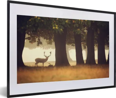 Produktbild von MuchoWow® Gerahmtes Poster Hirsche - Bäume - Wald 60x40 cm - Poster mit Schwarzem Bilderrahmen Wandposter Rahmen Foto Bilder - Schlafzimmer - Plakat in Rahmen - Drucken
