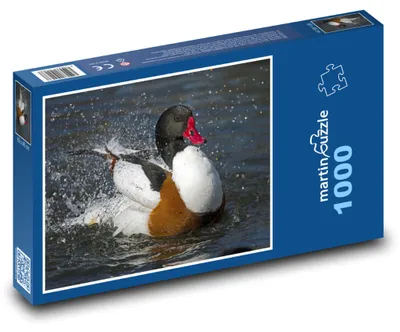 Obrázek produktu pro Puzzle 1000 Kačena ve vodě - martinpuzzle
