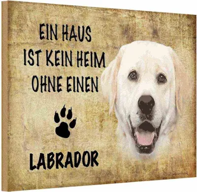 Produktbild von vianmo Holzschild 12x18 cm Labrador Hund ohne kein Heim Tier Haustier