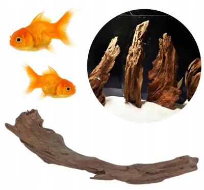 Zdjęcie produktu dla Dekoracja akwariowa – korzeń, drewno namorzynowe Nano 5–10 cm