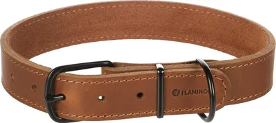 Produktbild von Flamingo Halsband Montana cognac, Größe: XL