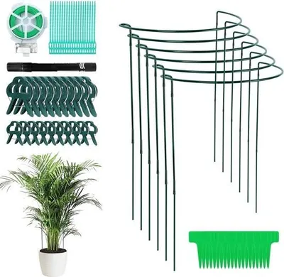 Produktbild von Runde Pflanzenstützen, 80 cm hoch – Verstellbar – Metall – Grüne Pflanzenringe – Strauchstützen – Pflanzenstäbe – Mit Pflanzenclips – Blumenhalter – Ring für Zimmerpflanzen – 6er-Set