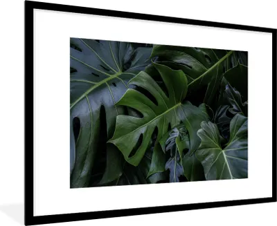 Produktbild von MuchoWow® Gerahmtes Poster Monstera mit dunklem Hintergrund 90x60 cm - Poster mit Schwarzem Bilderrahmen Wandposter Rahmen Foto Bilder - Wanddekoration - Fotos
