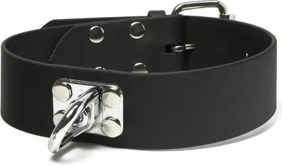 Produktbild von Mystique® Biothane Schweisshalsband 38mm schwarz 45-55cm