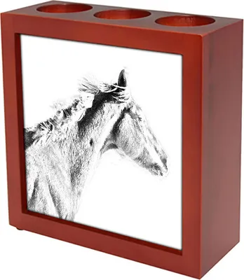 Obrázek produktu pro Art-Dog Stojánek na pera – Plnokrevník