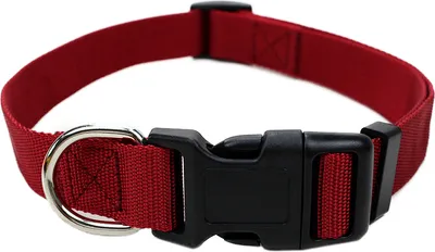Produktbild von Robustes Hundehalsband aus Nylon – stufenlos verstellbar, leicht & bequem – Klickverschluss – für Welpen, kleine & große Hunde – S, M & L Größe S Rot