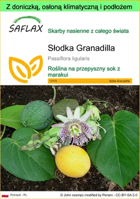 Zdjęcie produktu dla SAFLAX - Garden to go - Słodka Granadilla - 20 Nasiona - Z doniczką, pokrywą klimatyczną i podłożem do uprawy - Passiflora ligularis