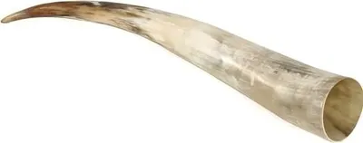 Produktbild von Rinderhorn poliert 60-69cm