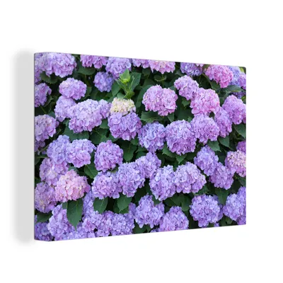 Produktbild von OneMillionCanvasses® - Leinwandbilder - 150x100 cm, Hortensienpflanze, Wandbilder Kunstdruck Wanddekoration