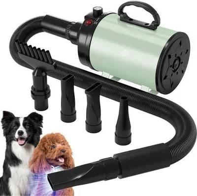 Image de Laisse pour chiens d'eau - Collier pour chiens d'eau - Collier chauffant pour chiens d'eau - Collier chauffant pour chiens - Laisse chauffante pour chiens