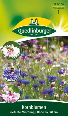 H593 Kornblume, Romantic-Mischung, Einjährig