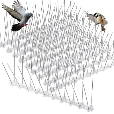 Produktbild von Edelstahl Abwehrspitzen für Effektiven Vogelschutz