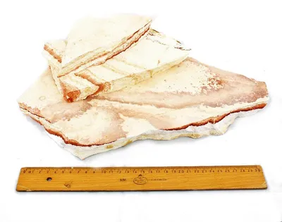Image de Lot d'assiettes arc-en-ciel, taille XL