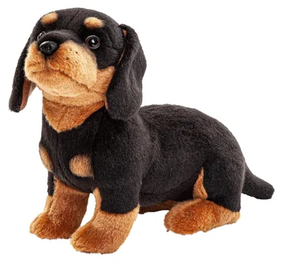 Image de Uni-Toys - Teckel sans laisse - 27 cm (longueur) - Chien en peluche - Animaux en peluche, doudou
