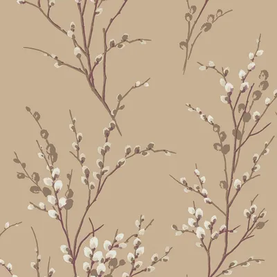 Produktbild von Laura Ashley Vliestapete Weidenkätzchen 1000x52cm