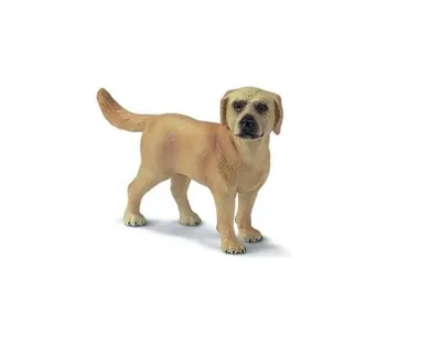 Immagine prodotto di Schleich 16329 Labrador, giallo