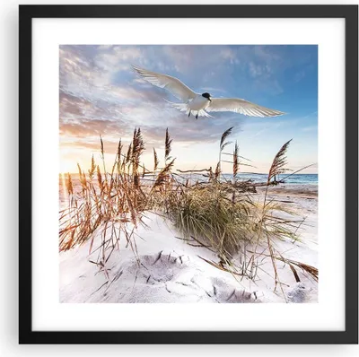 Produktbild von Gerahmtes Poster - Schwarzer Rahmen - Möwe Meer Küste - 40x40 cm - Wand Bild - Wanddeko - Wandbilder - Kunstposter - Wandposter - Bilderrahmen - Bilder - Kunstdruck - Wanddekoration - P2BAC40x40-4902