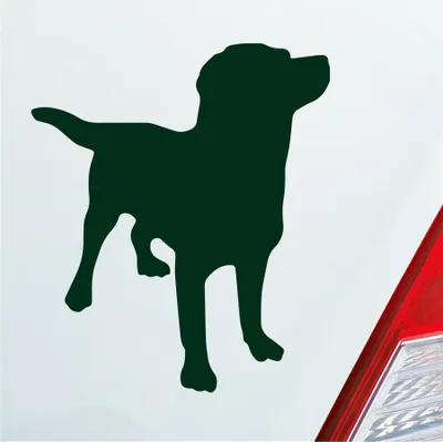 Produktbild von Auto Aufkleber Labrador Labbi Retriever Dog Hund Dog Tier 10x12 cm Dunkelgrün Sticker Heckscheibenaufkleber