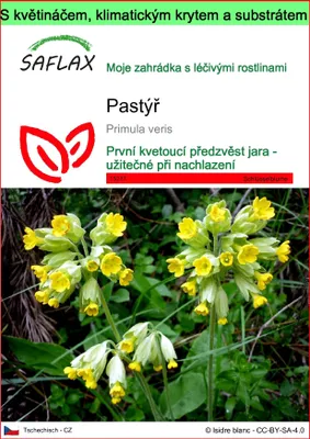 Obrázek produktu pro SAFLAX Garden to go - pastýř - Primula veris - 100 Semena - S květináčem, klimatickou poklicí a pěstebním substrátem