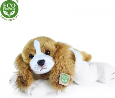 Obrázok produktu pre RAPPA Plyšový pes cavalier king charles spaniel ležiaci 30 cm ECO-FRIENDLY