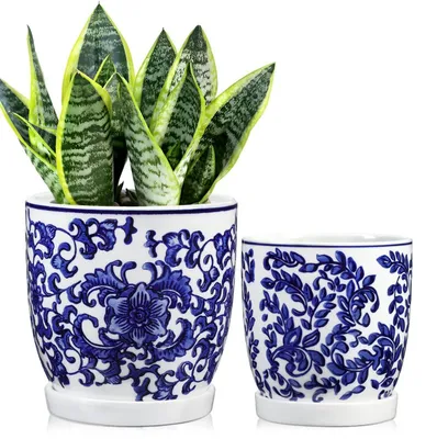 Immagine prodotto di Set di 2 vasi in Vetroceramica, blu e bianchi, con sottovasi e fori di drenaggio, ideali per piante grasse e cactus