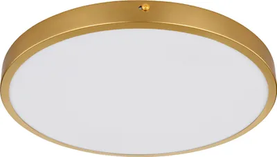 A close-up, studio shot of a round LED ceiling light with a gold-colored metal frame and a white diffuser.