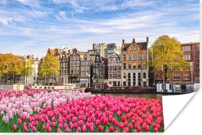 Produktbild von MuchoWow® Poster Amsterdam - Blumen 60x40 cm - Schlafzimmerdekoration