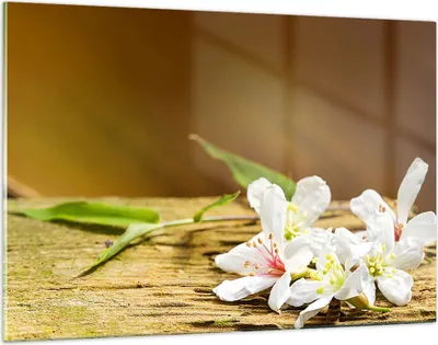Produktbild von Bilder auf glas - Asien spa bambus blume - 120x80cm - Glasbilder - Wandbilder - Kunstdruck - zum Aufhängen bereit - Wanddekoration aus Glas - Glas Bilder - Wandbild auf Glas - GAA120x80-2499