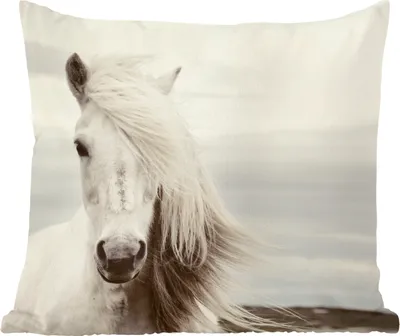 Produktbild von MuchoWow® Zierkissen Sofakissen Wohnzimmer Dekokissen 60x60 cm Pferd - Strand - Mähne - Sitzfläche - Foto Polster