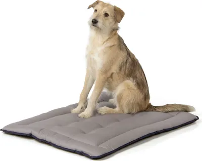 Produktbild von gepolsterte Wendedecke 90 x 70 cm, schwarz/grau bei 95°C waschbar für Hunde