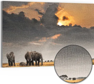 Produktbild von DEQORI Hybrid Leinwand Bild 90x60 cm 'Savannen Dämmerung' Wandbild Glas flach modern